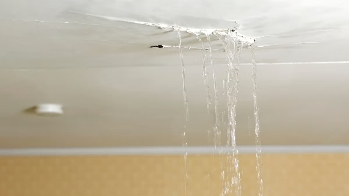 Leaks and Water Damage